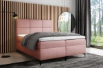 fava magic velvet2258.jpg