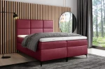 Fava - fancy 59.jpg