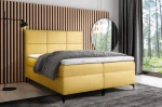 fava magic velvet2228.jpg