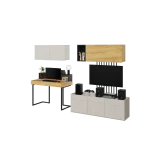 TFS9B_02.png