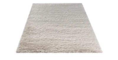Teppich für Wohnzimmer Blodwen Beige 
