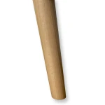 Noga.jpg