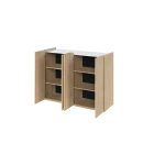 EA2DSB_02.png