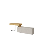TFS11B_01.png
