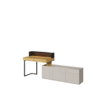 TFS13B_01.png