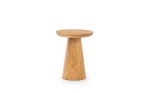 fungi40.jpg