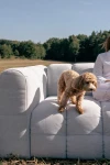 Design-4-Sitzer-Sofa-BALOO-(250-cm)-in-Bubble-Optik