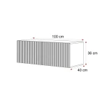 Technische Skizze des TV-Lowboards ANGEL, die die genauen Abmessungen von 100 cm Breite für eine optimale Raumplanung zeigt.