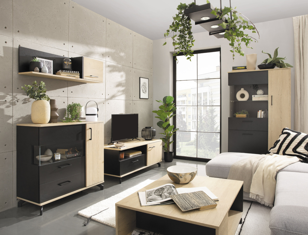 Einrichtungsidee für ein schmales Wohnzimmer mit schwarzem Sofa und heller Wandgestaltung